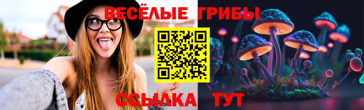 наркотики  Вход с VPN  Узловая  Галлюциногенные грибы Magic Shrooms  Галлюциногенные грибы прущие грибы 